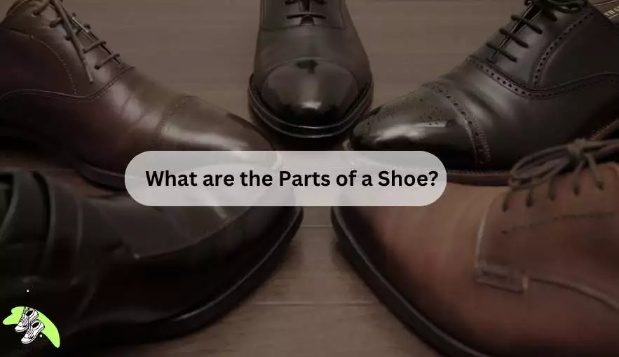 What are the Parts of a Shoe