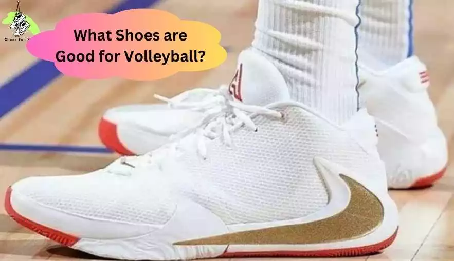 What Shoes are Good for Volleyball?