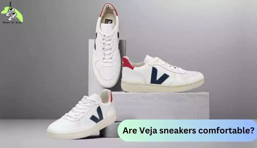 Are Veja sneakers comfortable