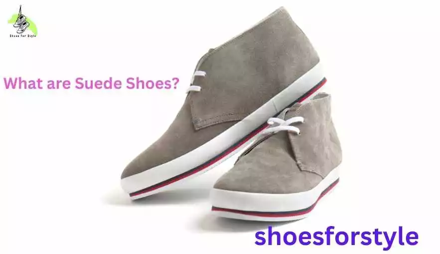 What are Suede Shoes